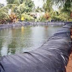 0.75mm HDPE woven coated geotextile geomembrane liner for dam