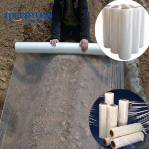 Agricultural 25 micron mulching film agriculture clear pe mulch film with punch hole popular in Malaysia 