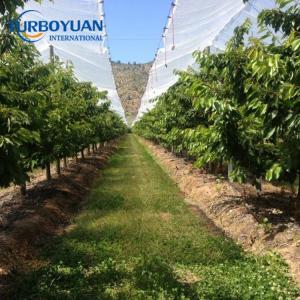 Agricultural clear waterproof tarp rain covers tarpaulin for crops