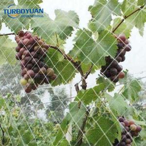 Agricultural plastic bird net for fruit tree