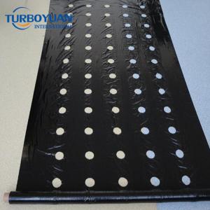 Agricultural strawberry perforated pe plastic mulch film made in China