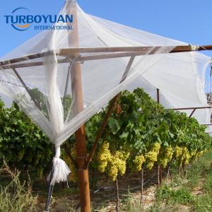 Agriculture anti hail net protection netting for protective structure over our apple trees