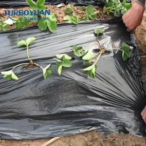 Agriculture compostable plastic pe mulch film for vegetable