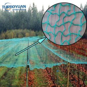 Agriculture green anti bird net manufacturers