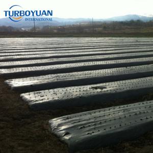 Agriculture mulching film peanut farm agricultural plastic mulch cover with holes to japan