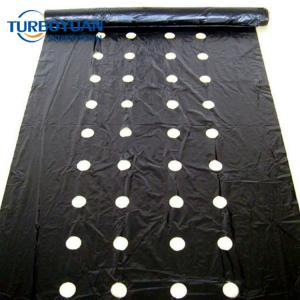 Agriculture perforated black PE plastic mulch film