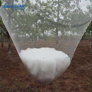 Anti hail protection net crossover for dragon fruit