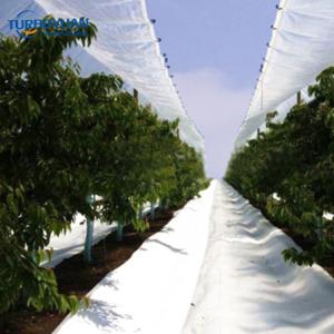 Cherry tree roof protection cover clear pe tarpaulin panels