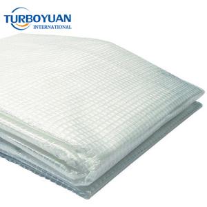 HDPE scaffold cover sheeting transparent PE mesh tarpaulin for construction
