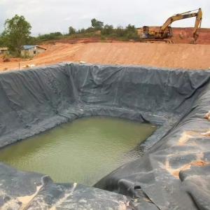 Hdpe basin geomembrane extrusion pond liner sheets cost