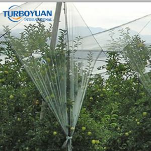 PE anti hail protection screen net for crops and dragon fruit