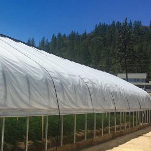 Transparent pe plastic roofing sheet for greenhouse cover