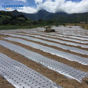 Agro grey ldpe plastic mulch film with holes